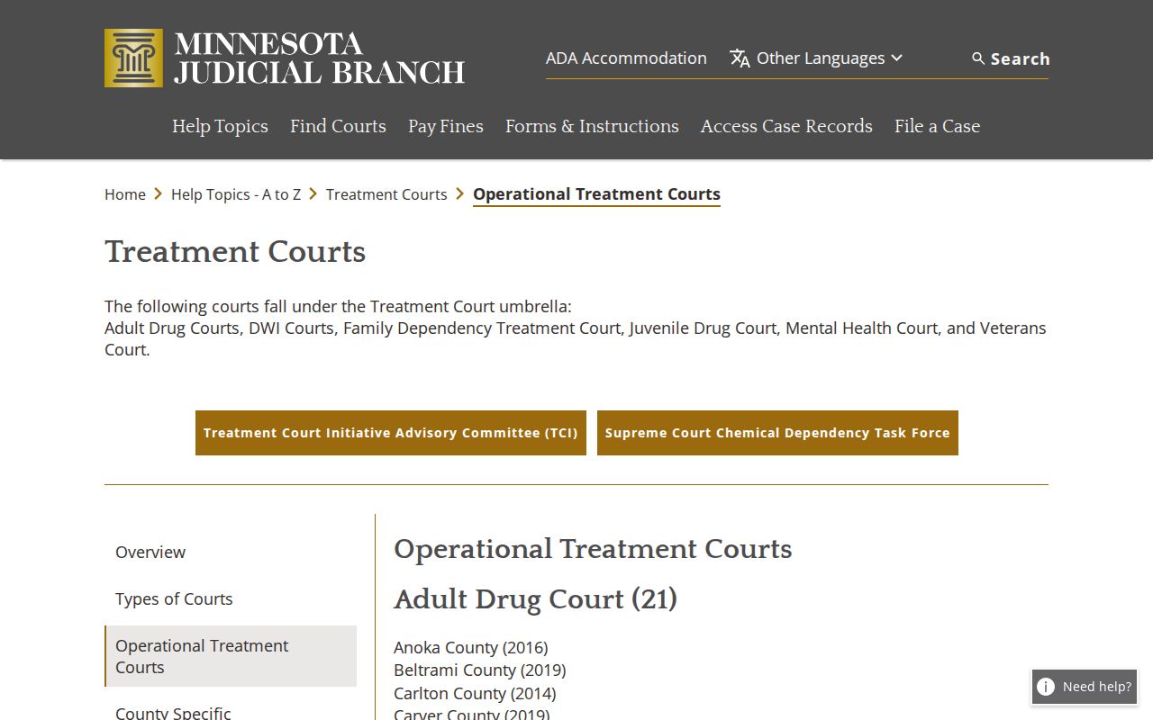 Olmsted County criminal docket record source showing DWI hybrid and Veterans Treatment Court information